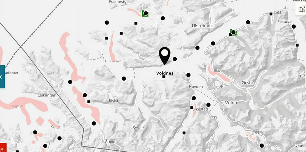 ISA suspected in Mowi site