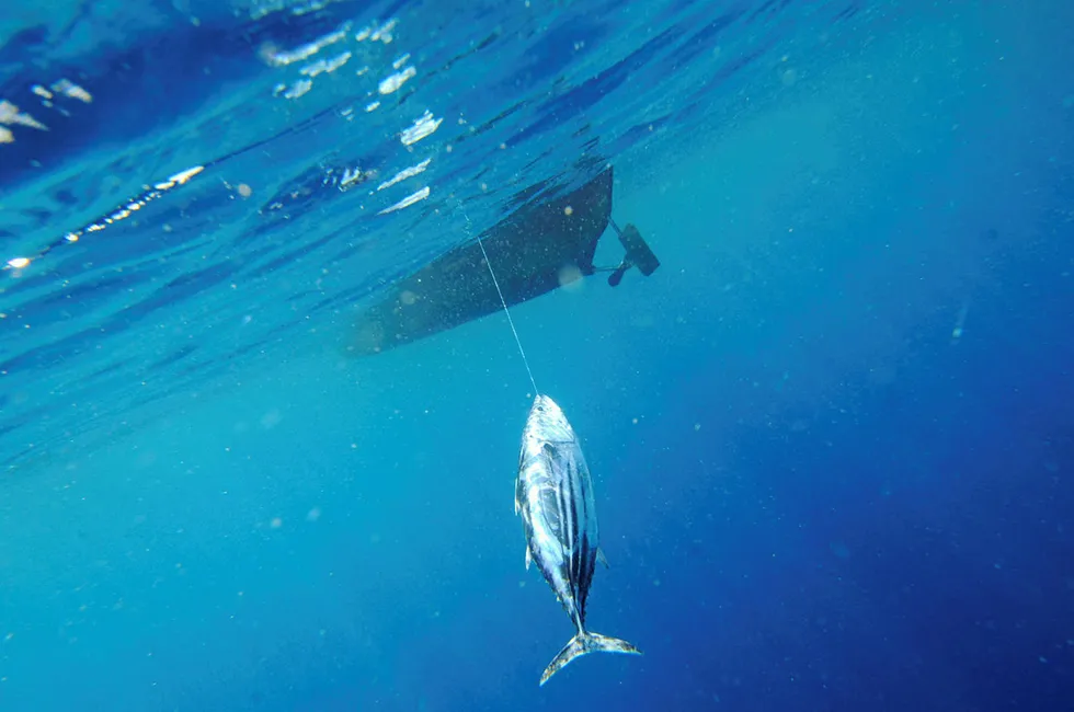 Fishing for a cause