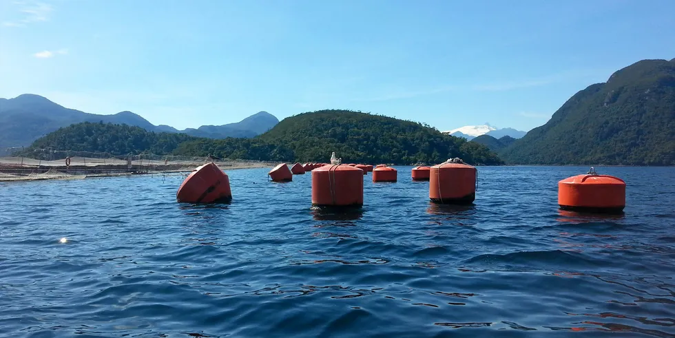 The 'serious charges' accuses the company of producing 3,800 metric tons more salmon than it is authorized as per its Environmental Qualification Resolution (RCA).
