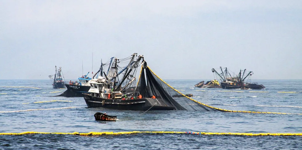Will anchovy fishing go the distance?