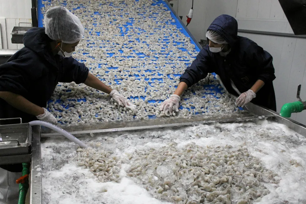 Potipora expects the plant to open in 2026.
