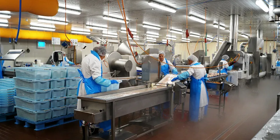 Deutsche See. A small part of the production in Bremerhaven houses a frozen fish and seafood area.