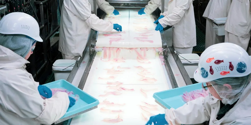 Alaska pollock bids are inching up in 2024.