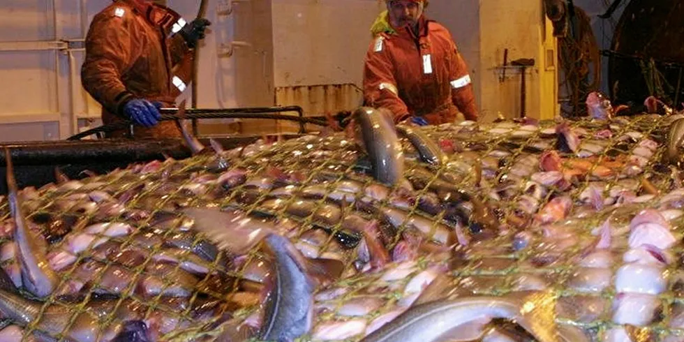 The price for fresh cod is lower than last year, but on its way up again from the bottom in May, while the price of frozen whole cod continues to fall and is now below the 2018 level. Photo: Bjorn Tore Forberg