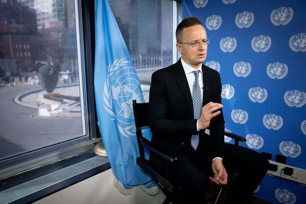 Thin lines: Hungary's Foreign Minister Peter Szijjarto.