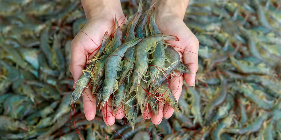The investment is part of Nutreco's and Skretting's focus on combatting disease in the aquaculture industry.