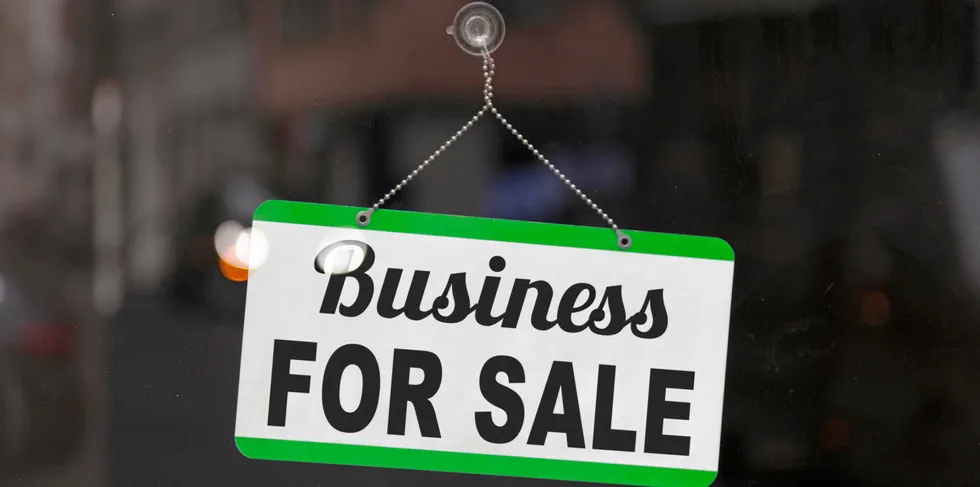 Some companies are eager to sell, but the owners are wringing their hands over the host of challenges that come along with the process.