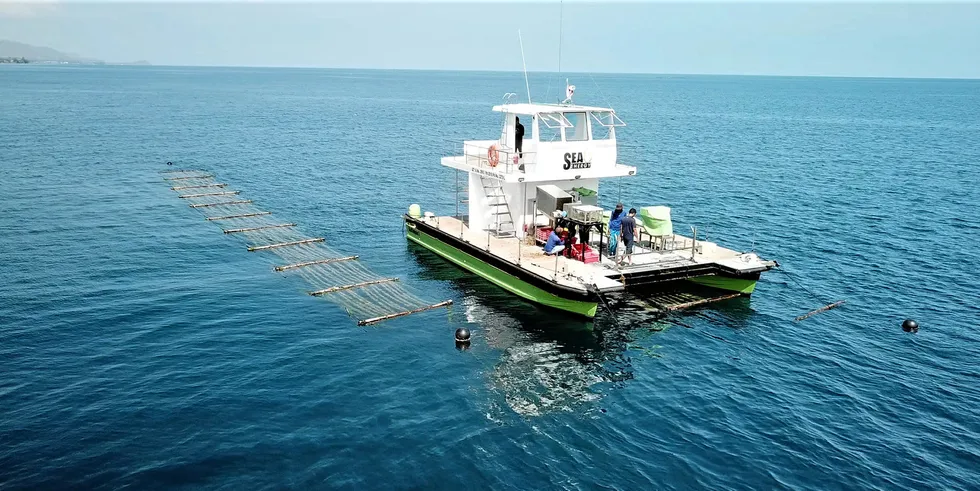 BASF Venture Capital and Aqua-Spark are investing in seaweed producer Sea6 Energy as part of a Series B round.