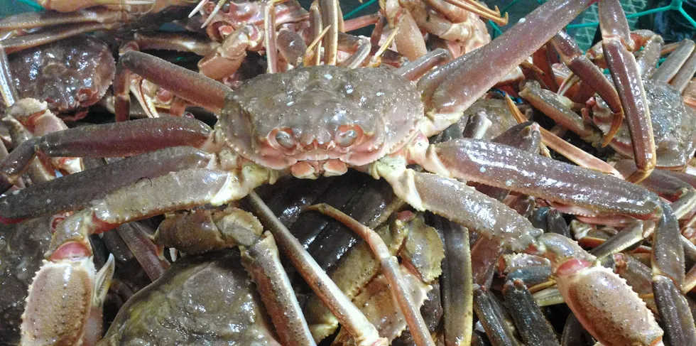 Thanks to Canadian regulators, more snow crab will be available during a period that it's desperately needed.