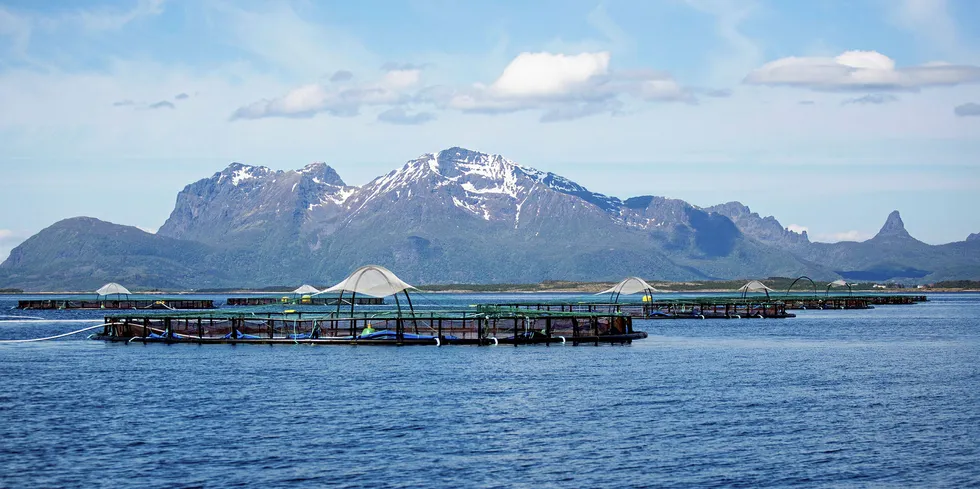 A Cermaq salmon farming operation in Sagfjorden, in the Nordland region of Norway.