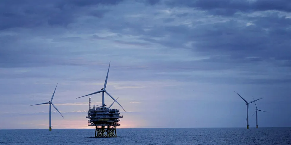 Orsted's Race Bank, the latest addition to the UK offshore wind fleet.