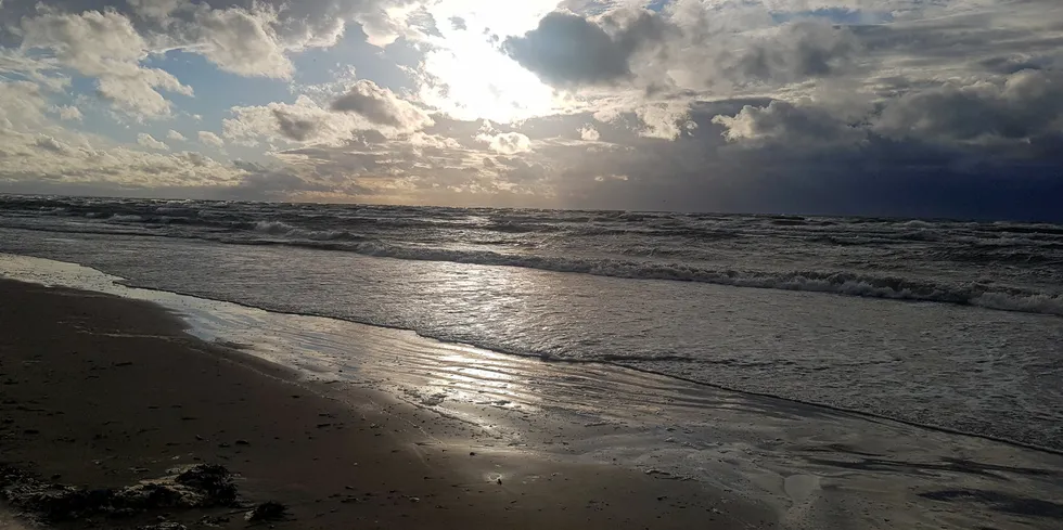 Jurmala Beach near Riga in the Gulf of Riga