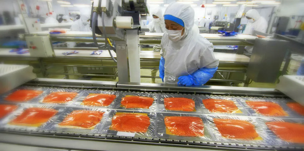 Chile has made great strides in reducing its use of antibiotics in salmon farming.
