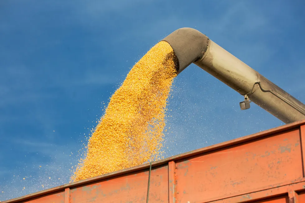 The EU imports around 18 million metric tons of soy meal per year in total, but the United States is not a big exporter.