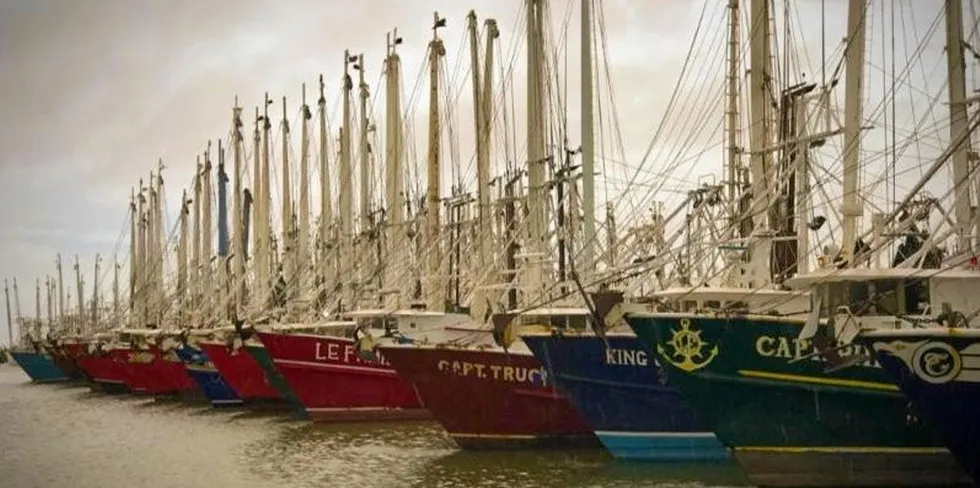 The USDA will purchase more shrimp for FY 2023 programs.