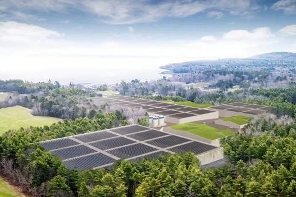 An illustration of Nordic Aquafarms' Belfast RAS overlooking Penobscot Bay. The company said Friday it is abandoning the project.