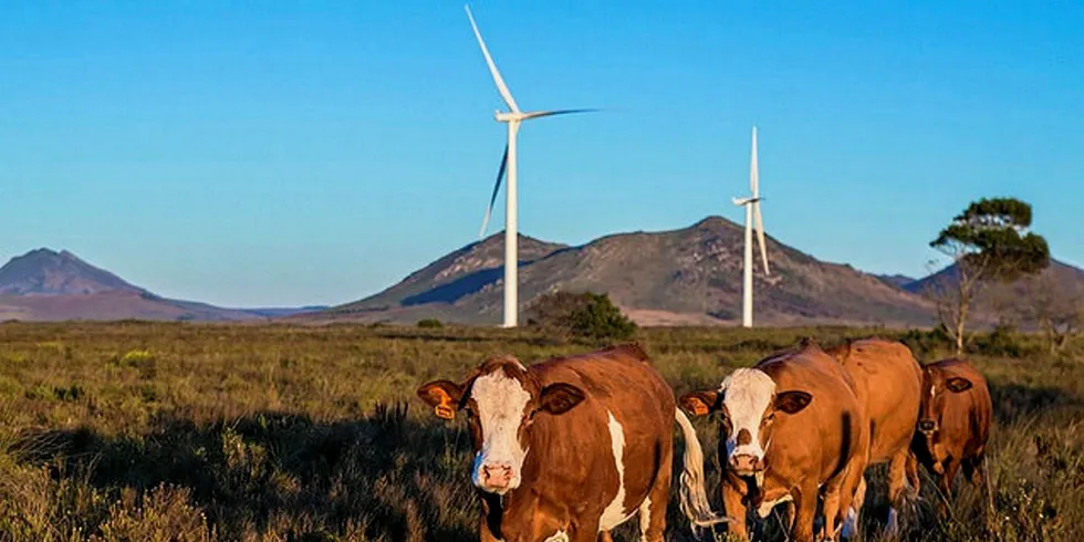 Mainstream has already brought 600MW into service in South Africa