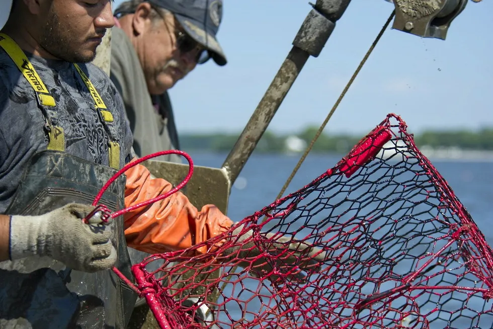 . Maryland crabbers.