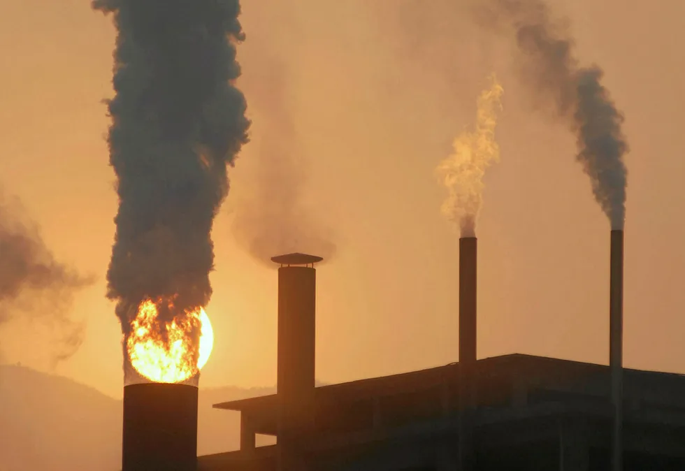 For the future: Green investments