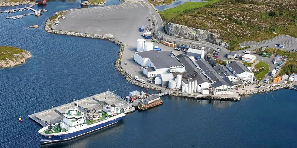 Mowi's plant at Ulvan.