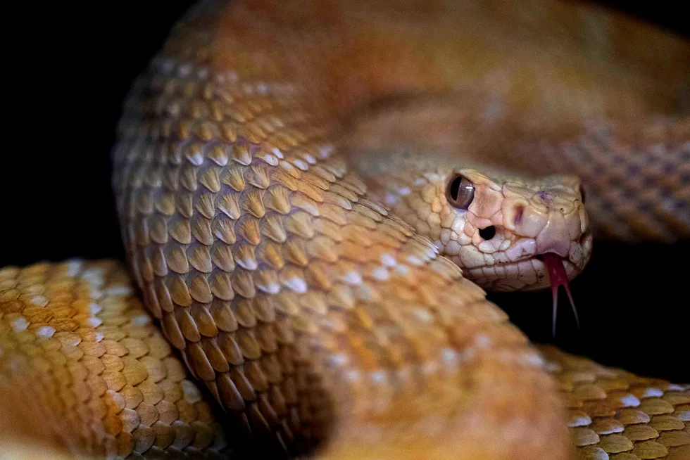 Diamondback bulks up production, reserves
