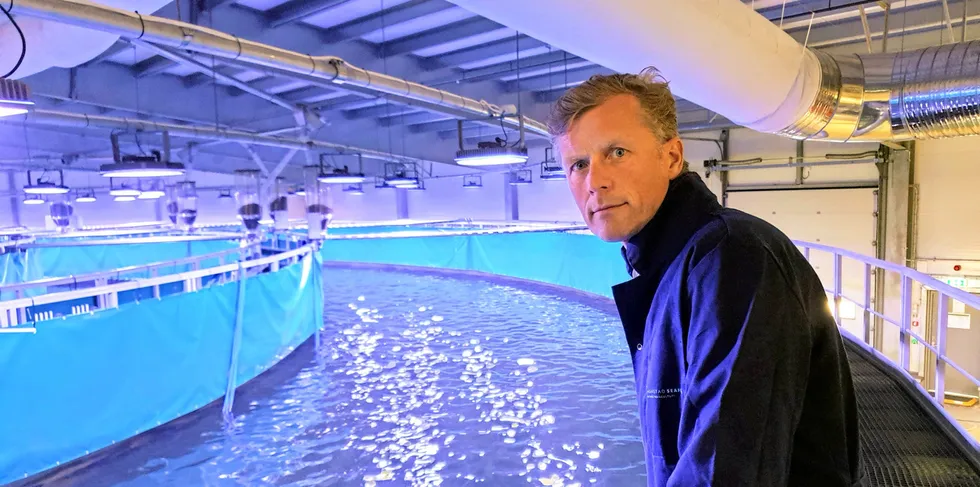 'We see great opportunities for further growth and development in the market for yellowtail kingfish,' said Bernt-Olav Rottingsnes CEO of Nordic Aquafarms.