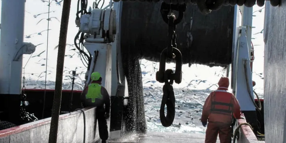Domestic demand for Alaska pollock continues to grow, according to US executives. Crew members of the F/V Sovereignty loading nets of Alaska pollock.
