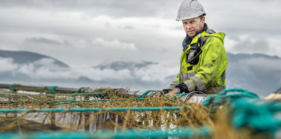 The world's largest publicly listed salmon farmers reported devastating drops in earnings in Q4.