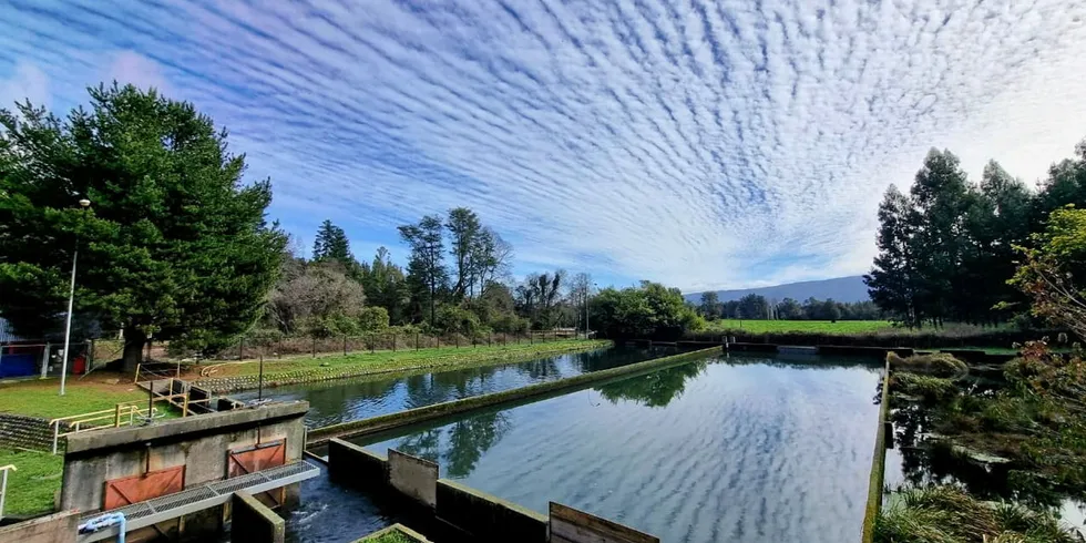 Benchmark finds itself in hot water over alleged breaches of environmental rules.
