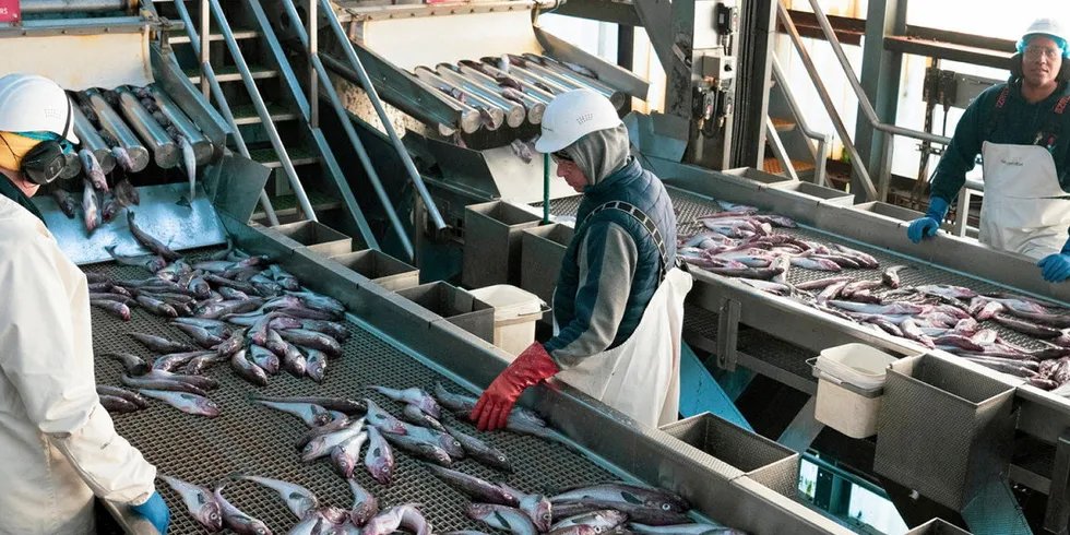 Some Alaska pollock producers say they have been unfairly competing with Russian pollock for the past several years.