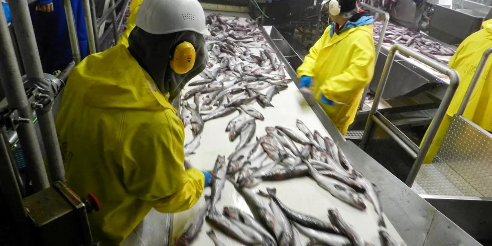 A Trident Seafoods processing plant in Akutan, Alaska.