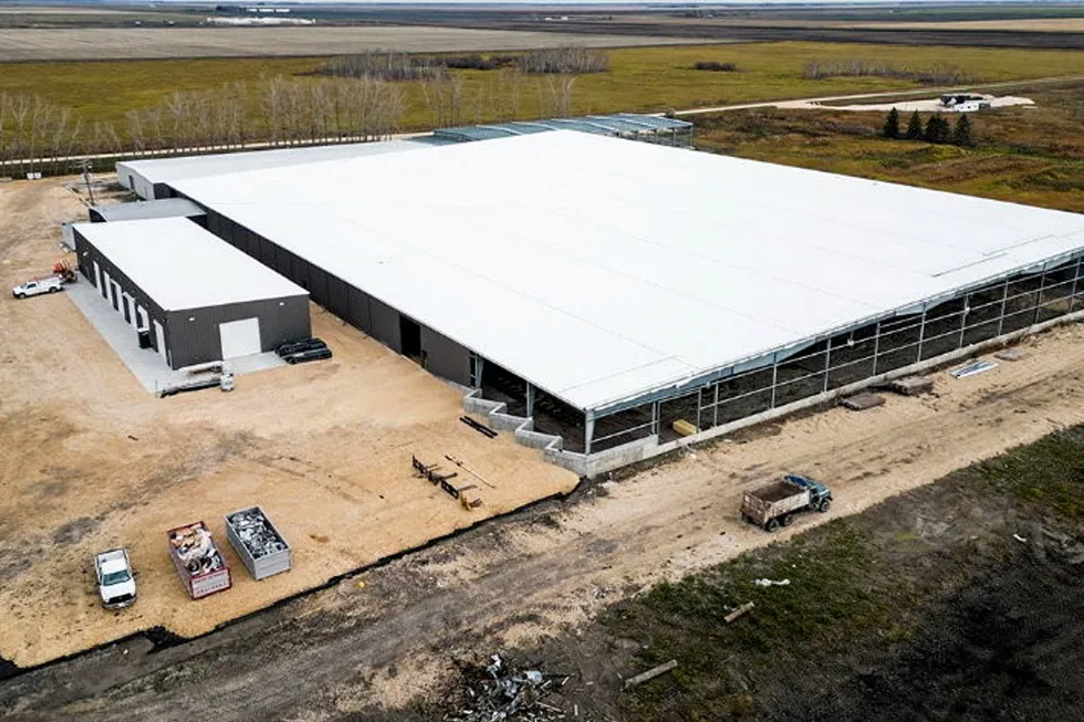 Sapphire Springs has ambitions to grow and distribute Arctic char products to global markets.