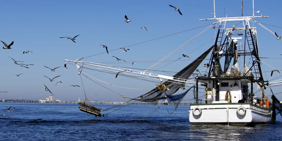 A Gulf of Mexico shrimp boat.
