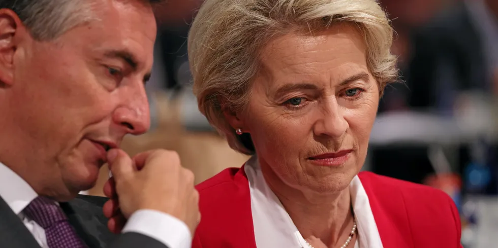 European Commission President Ursula von der Leyen and European Parliament member David McAllister