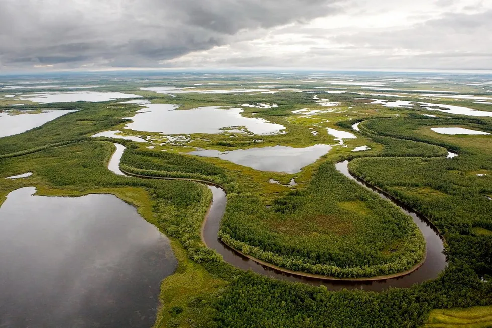 Twists of fate: the Gydan Peninsula in West Siberia in Russia.