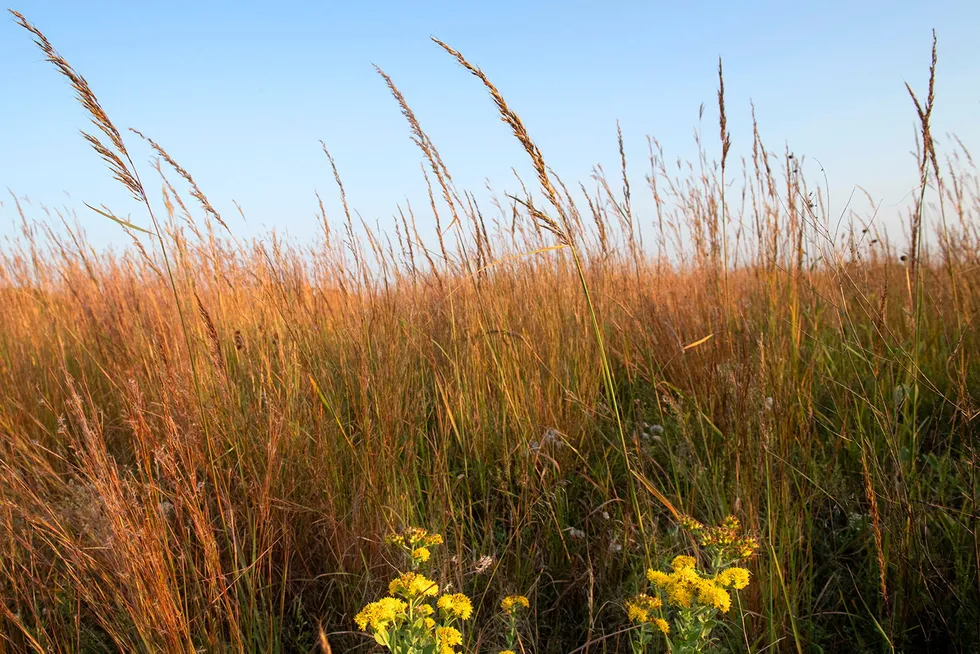 Tallgrass: the Kansas-based midstream company hopes to use its converted natural gas Trailblazer pipeline to transport up to 10 million tonnes per annum of carbon dioxide in its Eastern Wyoming Sequestration Hub