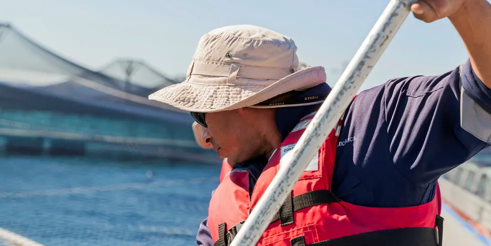 Camanchaca salmon operations bore the brunt of high costs and low prices last year.