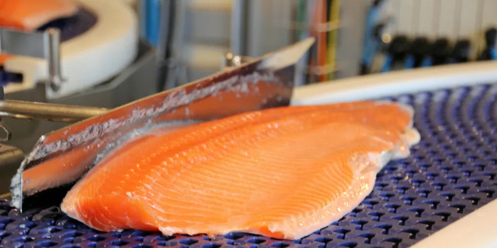 "We had a minor ammonia leak at the processing plant in Rypefjord in connection with the refrigerated sea water (RSW) plant," said Cermaq.