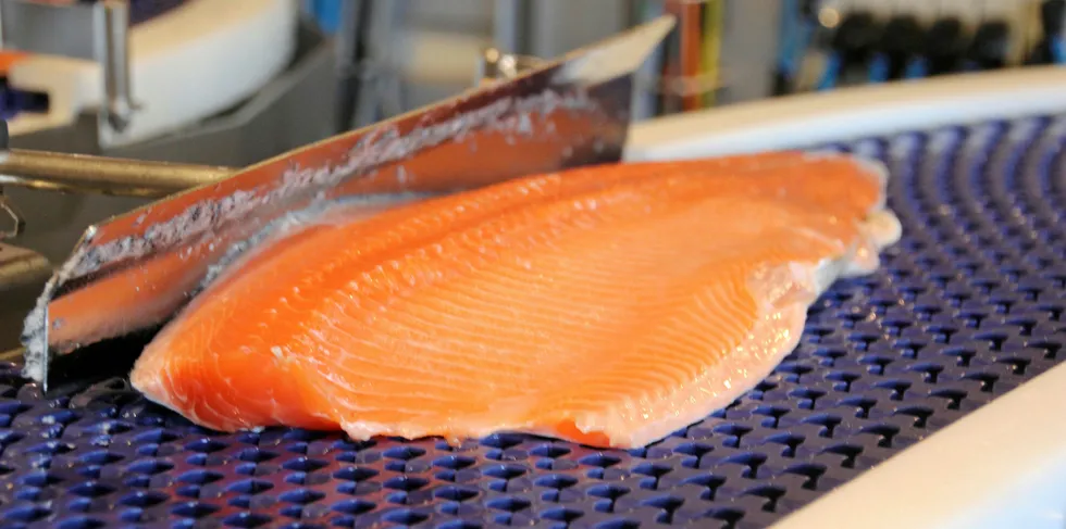 Prices for farmed salmon on the US market have taken a steep tumble in recent weeks.