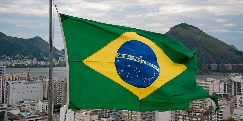 Brazil had just received its first ever consignment of tilapia from Vietnam.