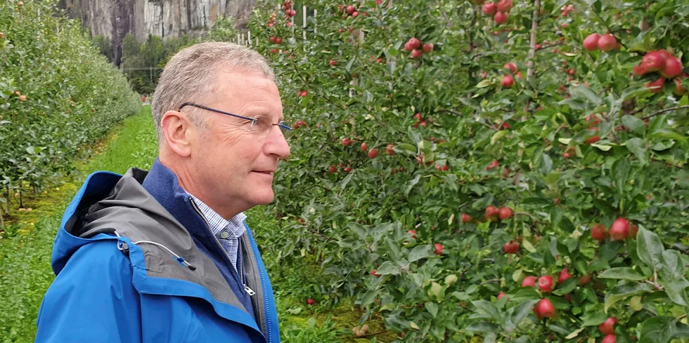 Andreas Kvame is the CEO of Oslo-listed salmon farmer Grieg Seafood.