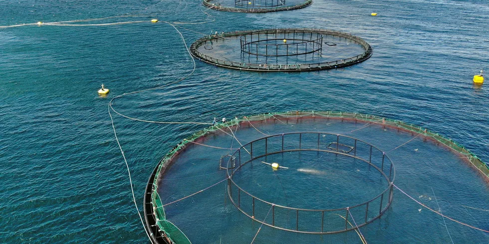 Quiet week for Norwegian farmed salmon sales.