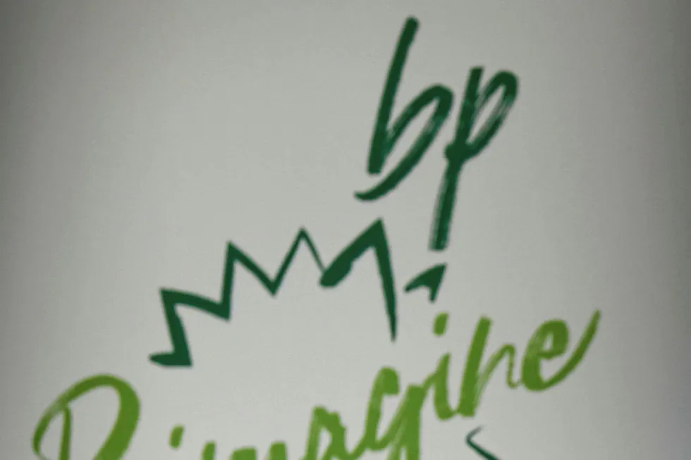 Tough times: BP chief executive Bernard Looney sounds an ominous warning for industry