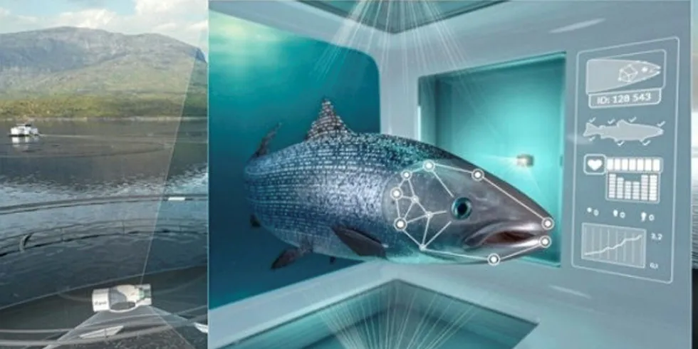 Cermaq Norway rethinking facial recognition salmon farm