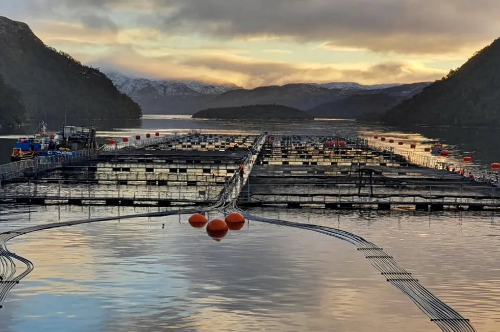 Around 3,000 people rely on Nova Austral for employment, either directly or indirectly.