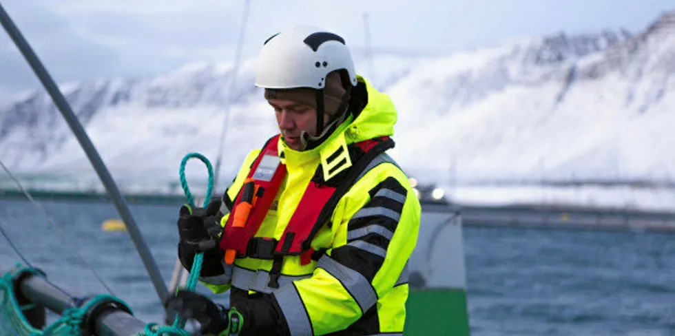 The Icelandic salmon farmer experienced mortalities in the big fish category.