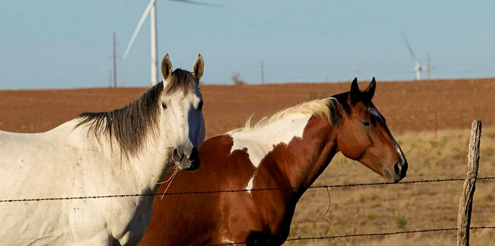 AEP and BP Wind Energy JV project Flat Ridge II in Kansas