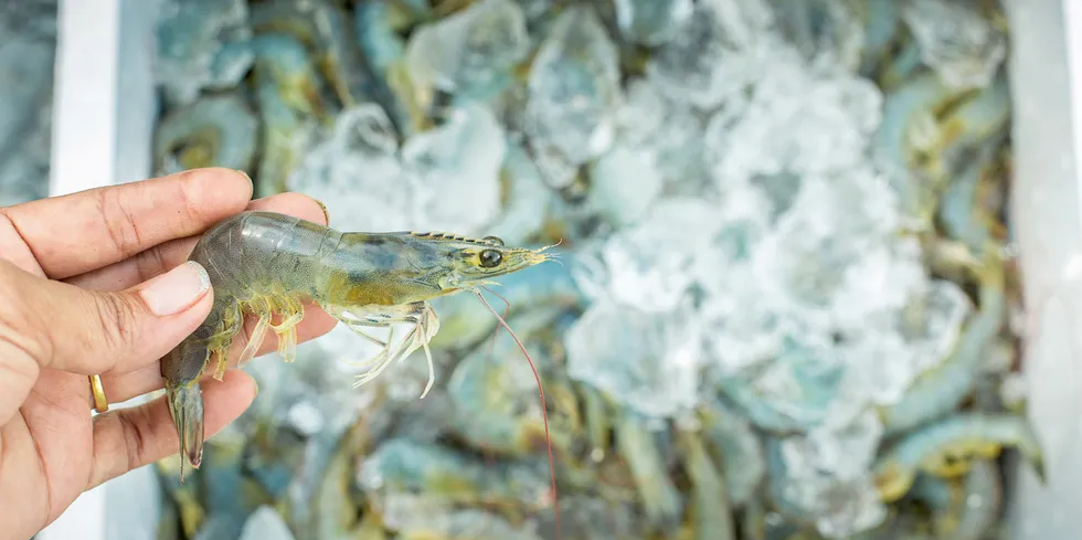 Coronavirus is threatening to upend the supply of farmed shrimp in India.