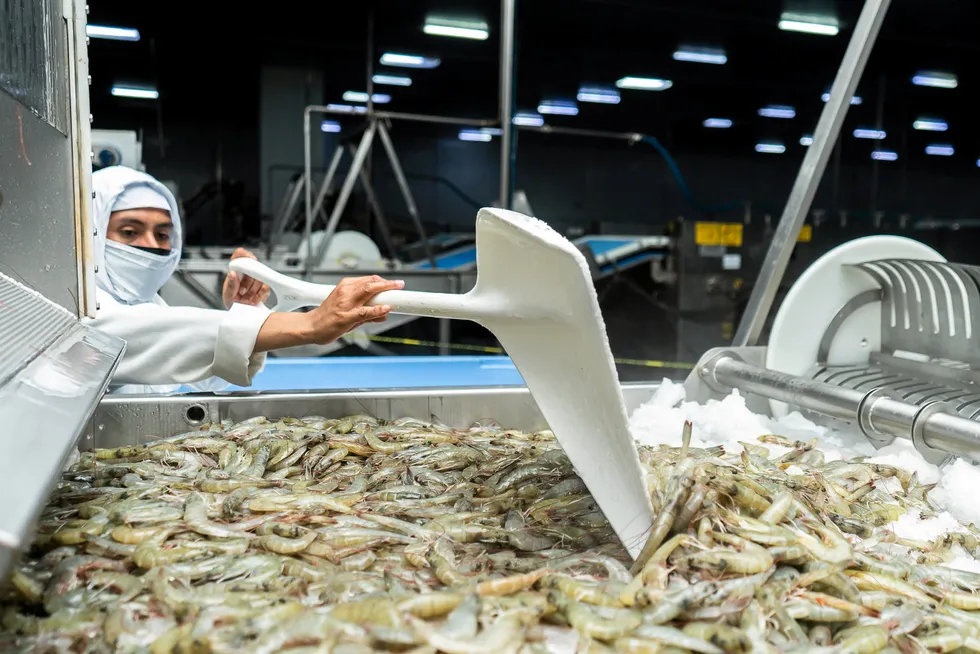 Red Lobster has lots of problems. Its failed 'Endless Shrimp 'promotion is just one of them.
