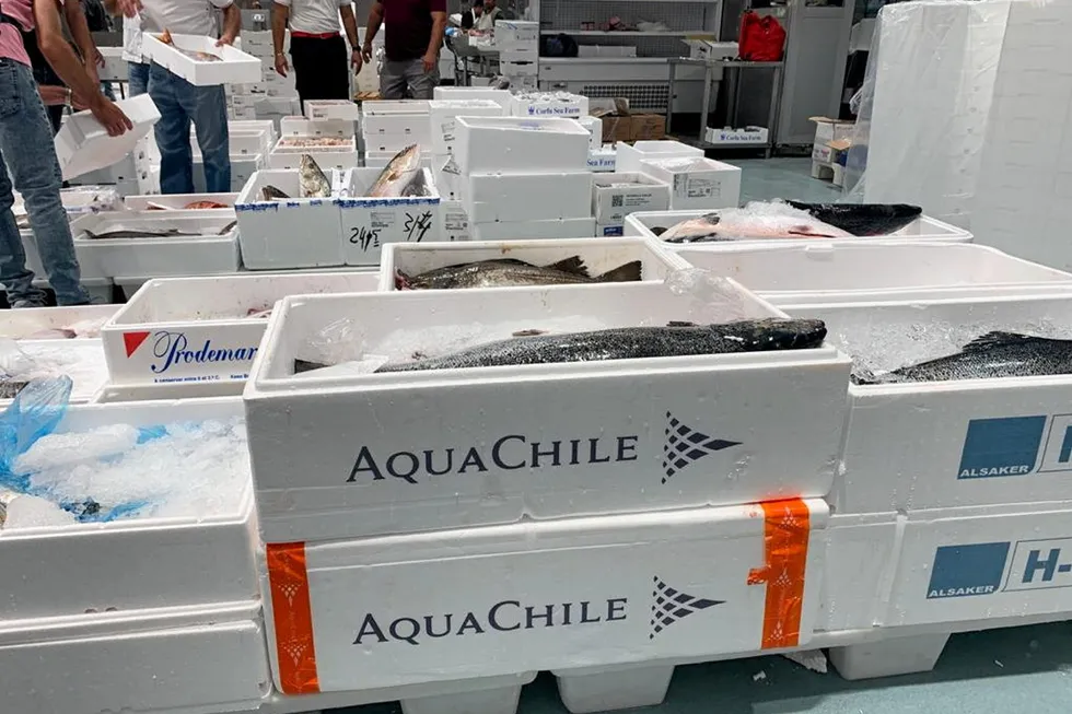Premium products came to the company's rescue in the opening six months of this year.